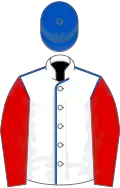 White, royal blue seams, red sleeves, royal blue cap