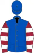 Royal blue, maroon and white hooped sleeves