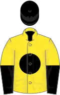 Yellow, black disc, halved sleeves, black cap