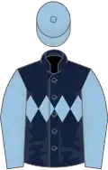 Dark Blue, Light Blue triple diamond, sleeves and cap
