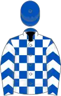 Royal blue and white check, chevrons on sleeves, royal blue cap
