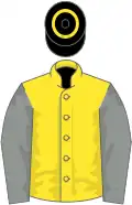 Yellow, grey sleeves, black cap, yellow hoop