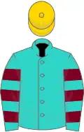 Turquoise, Burgundy hooped sleeves, Gold cap
