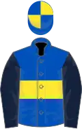 Royal blue, yellow hoop, dark blue sleeves, royal blue and yellow quartered cap
