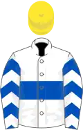 White, royal blue hoop, chevrons on sleeves, yellow cap