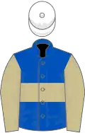 Royal blue, beige hoop and sleeves, white cap
