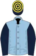 Light blue, dark blue sleeves, dark blue and yellow hooped cap