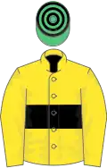 Yellow, black hoop, yellow sleeves, emerald green and black hooped cap