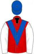 Red, royal blue chevron, white sleeves, blue cap