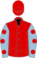 Red, light blue sleeves, red spots