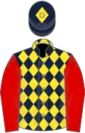 Dark blue and yellow diamonds, red sleeves, dark blue cap, yellow diamond