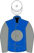Royal Blue, Grey disc and sleeves, White cap