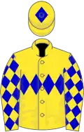 Yellow, blue triple diamond and diamonds on sleeves, yellow cap, blue diamond