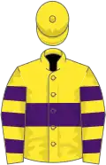 Yellow, purple hoop, hooped sleeves