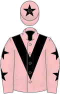 Pink, black chevron, stars on sleeves and star on cap