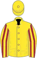 Yellow, maroon striped sleeves