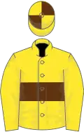 Yellow, brown hoop, quartered cap