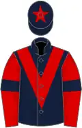 Dark blue, red chevron, red sleeves, dark blue armlets, dark blue cap, red star