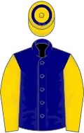 NAVY BLUE, gold sleeves, gold cap, navy blue hoop
