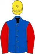 Royal blue, red sleeves, yellow cap