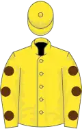 Yellow, brown spots on sleeves