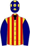 Yellow and red stripes,navy blue sleeves, navy blue cap, yellow spots