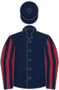 Dark blue, maroon striped sleeves