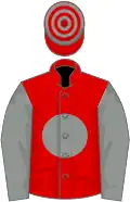 Red, grey disc and sleeves, hooped cap
