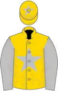 Gold, silver star, sleeves and star on cap, gold tassel