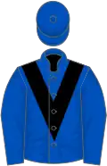 Royal blue, black chevron