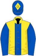 Yellow, royal blue panel and sleeves, royal blue cap, yellow diamond