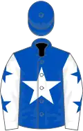 Royal blue, white star, white sleeves, royal blue stars, royal blue cap