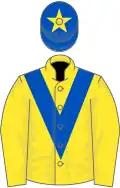 Yellow, royal blue chevron, royal blue cap, yellow star