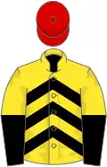 Yellow, black chevrons, halved sleeves, red cap