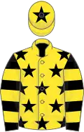 Yellow, Black stars, Black and Yellow hooped sleeves, Yellow cap, Black star