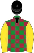 Green and Maroon check, Yellow sleeves, Black cap