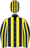 Dark blue and yellow stripes