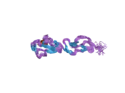 2bzm: SOLUTION STRUCTURE OF THE PRIMARY HOST RECOGNITION REGION OF COMPLEMENT FACTOR H