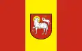 Flag of Bobolice