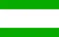 Flag of Międzylesie