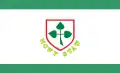 Flag of Nowy Staw