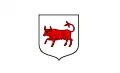 Flag of Turek