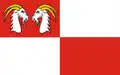 Flag of Gmina Kozy