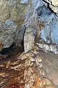 Speleothems in the cave PP1