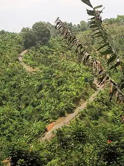 Cuesta de Magos (PR-438) in Magos barrio