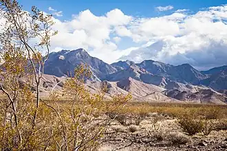 Tall mountains rise from brushy desert floor.