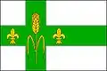 Flag of Pamětice