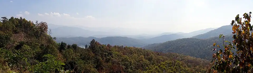 "Autumn" colors during the cool, dry season in Na Muen District, Nan Province