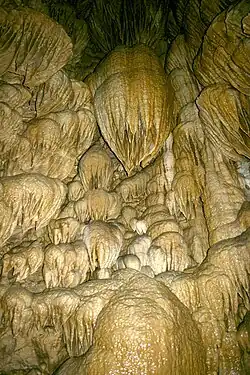 A cluster of bulbous stone formations of various sizes, large and small, line the surface of a dome-shaped pit. The formations, which are generally shades of brown and light yellow, overlap one another. Wider at their tops than their bottoms, they point down. Each is ribbed, like hanging drapery.