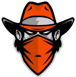 Team logo